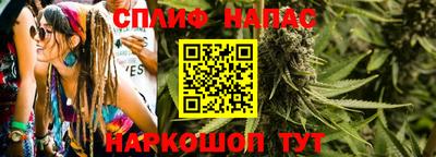 прущие грибы Тара