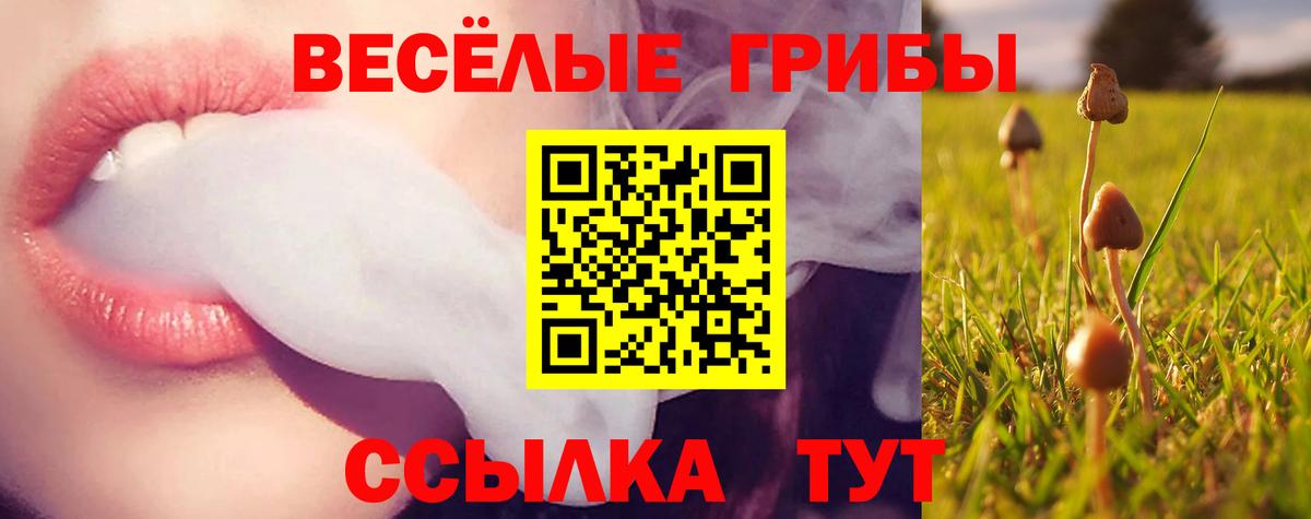 Галлюциногенные грибы GOLDEN TEACHER Назарово